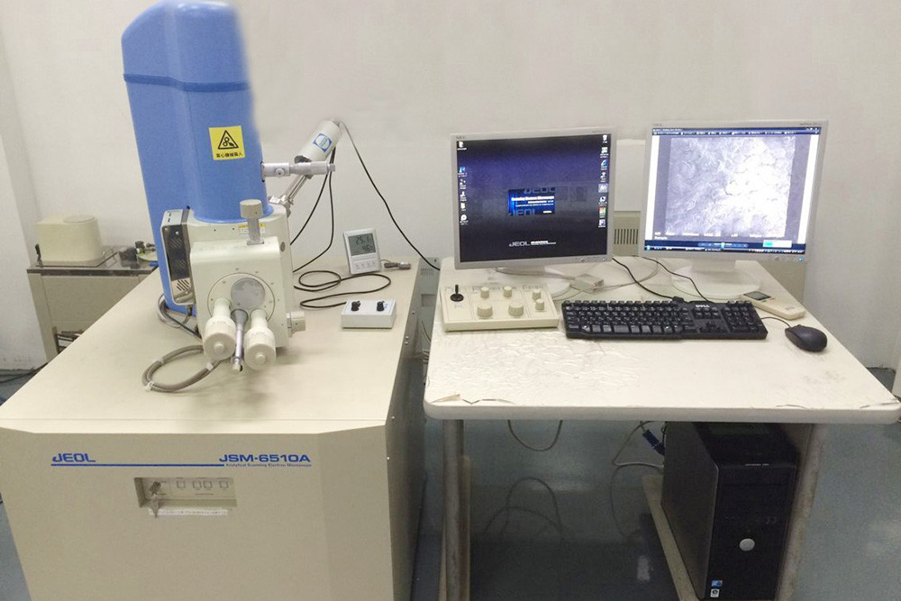 掃描電(diàn)子(zǐ)顯微(wēi)鏡